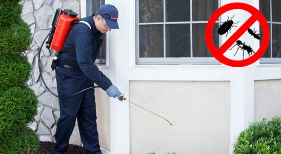 Kumluca Bit İlaçlama böcek ilaçlama ve haşere kontrolü — ilaclama-tr.com